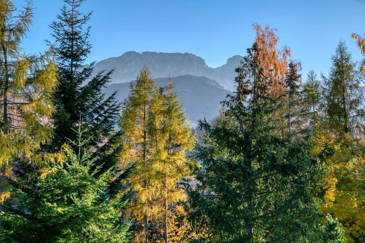Apartament Biala Roza Zakopane Exterior foto